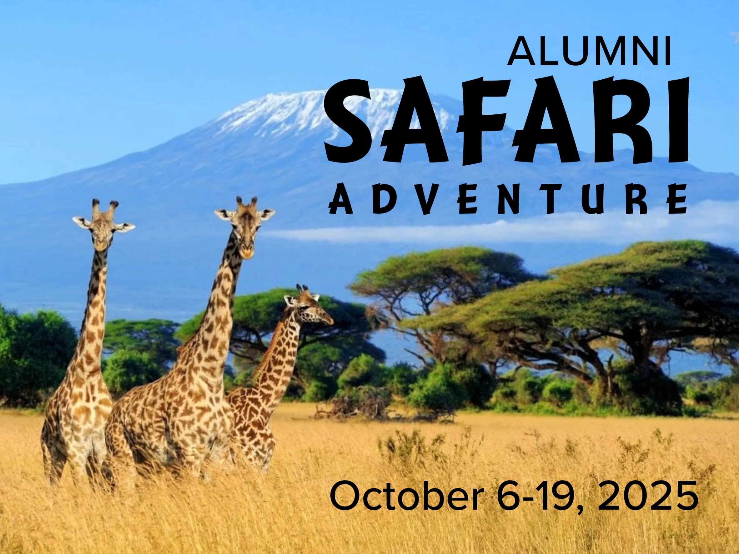 Safari Adventure promo