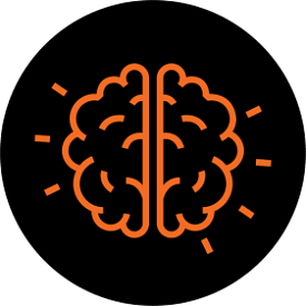brain